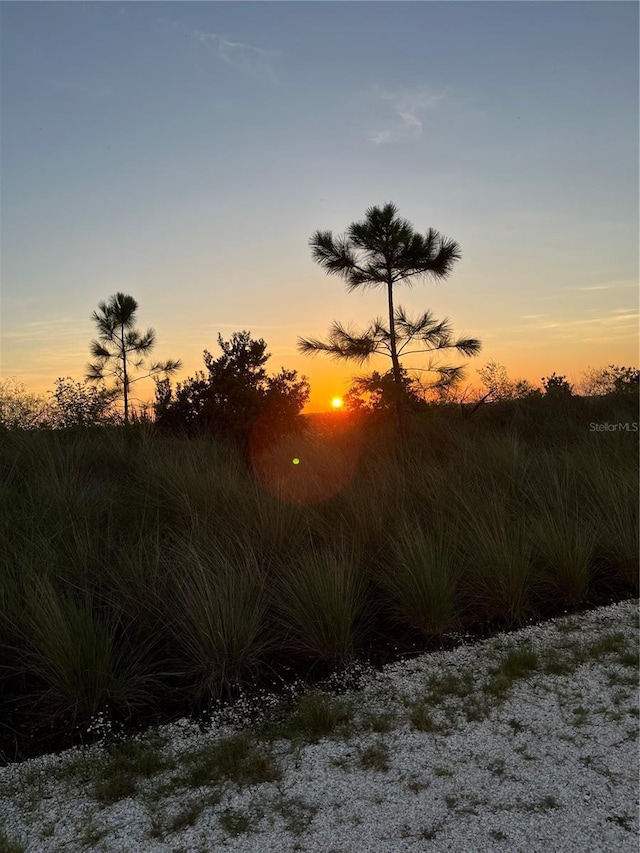 5521 Summit Gln, Bradenton, FL 34203 - view of local wilderness