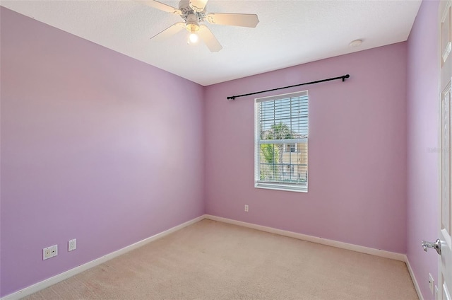 1831 Burgos Dr, Sarasota, FL 34238 - photo 28