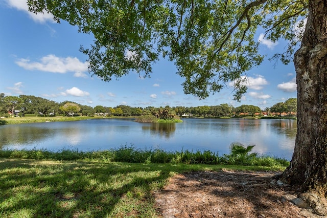 245 Woodingham Trl, Venice, FL 34292 - water view