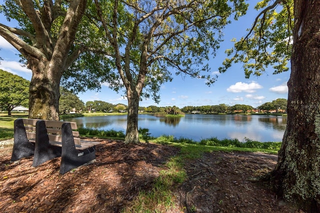 245 Woodingham Trl, Venice, FL 34292 - water view