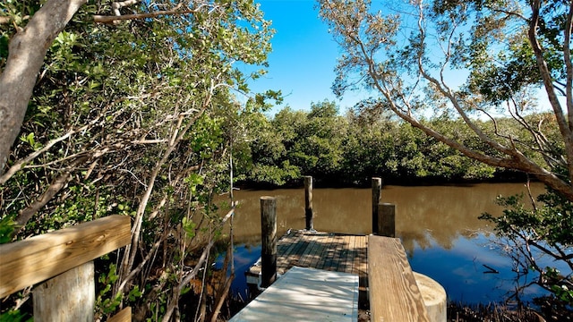 dock area with a water view