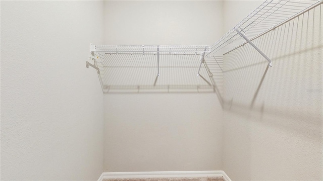 1824 Woodleaf Hammock Ct, Bradenton, FL 34211 - view of spacious closet