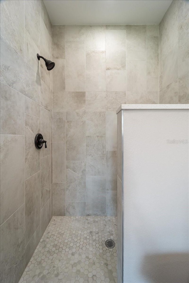 18274 Grace Ave, Port Charlotte, FL 33948 - bathroom featuring tiled shower
