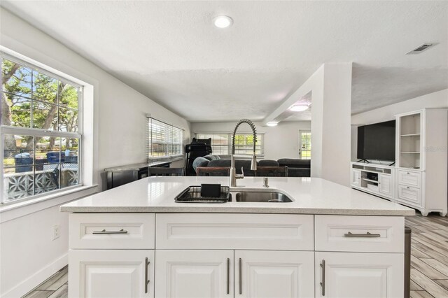 kitchen featuring light wood finished floors, visible vents, a sink, open floor plan, and light countertops