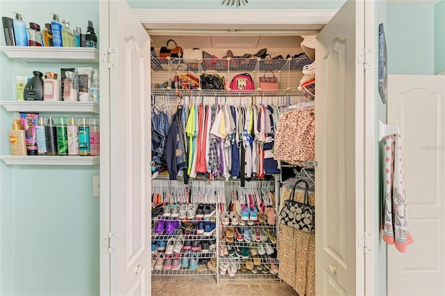 4211 30th Ln E, Bradenton, FL 34208 - view of closet