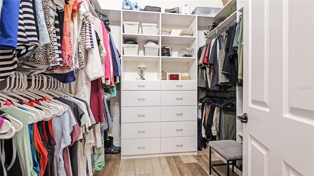 20359 Cristoforo Pl, Venice, FL 34293 - walk in closet featuring light wood-style flooring