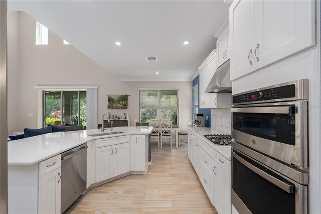 kitchen with under cabinet range hood, light countertops, stainless steel appliances, and a sink