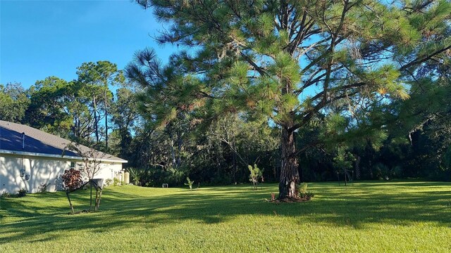 4466 Manila Ave, North Port, FL 34288 - view of green lawn