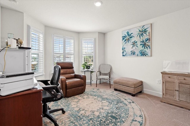 4466 Manila Ave, North Port, FL 34288 - office area with carpet floors and baseboards