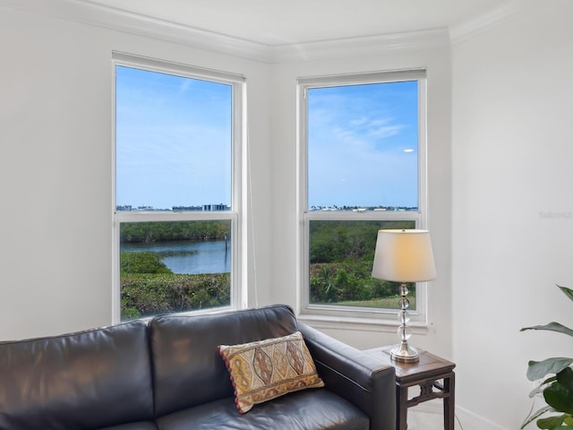 living area featuring healthy amount of natural light, ornamental molding, baseboards, and a water view