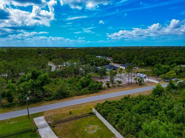 drone / aerial view of a forest