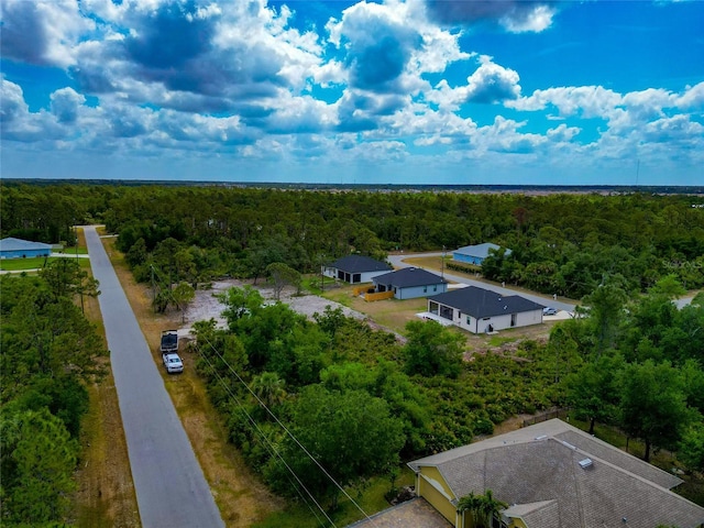 drone / aerial view of a forest