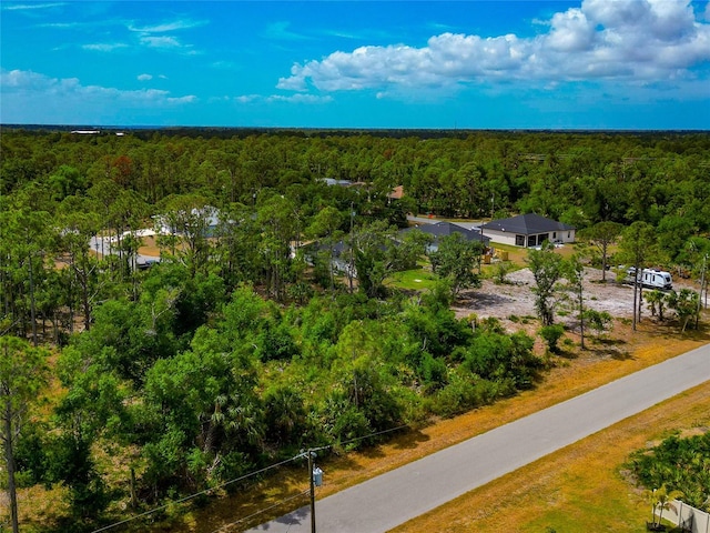 drone / aerial view of a forest