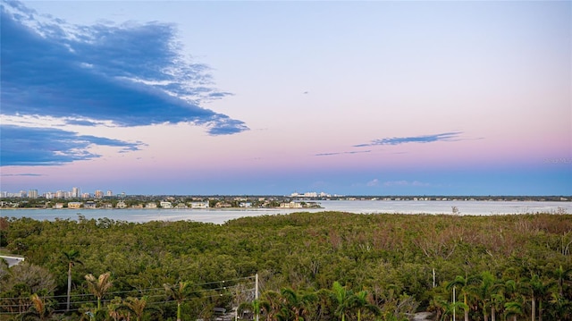 1212 Benjamin Franklin Dr Unit 909, Sarasota, FL 34236 - water view