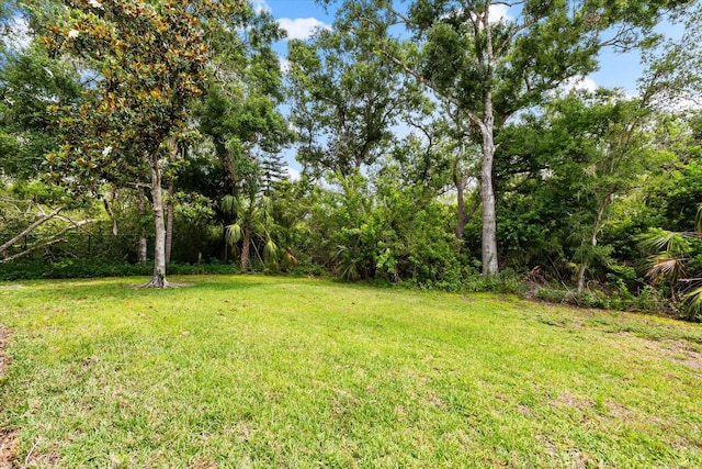view of grassy yard