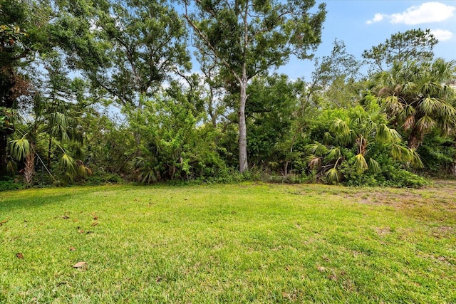 view of green lawn