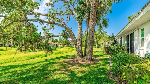 7044 Woodside Oaks Cir Unit 9, Sarasota, FL 34231 - photo 26