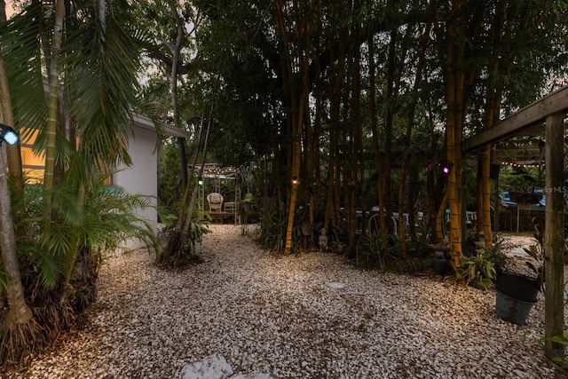 2207 Hickory Ave, Sarasota, FL 34234 - view of yard