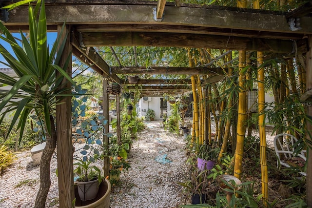 2207 Hickory Ave, Sarasota, FL 34234 - view of yard