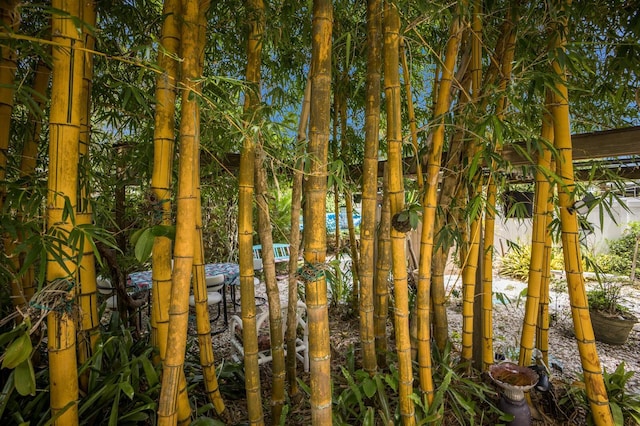 2207 Hickory Ave, Sarasota, FL 34234 - view of local wilderness