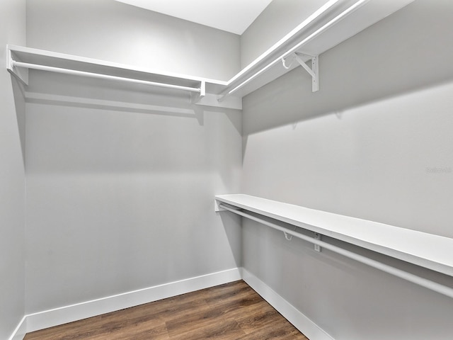 walk in closet with dark wood-style flooring