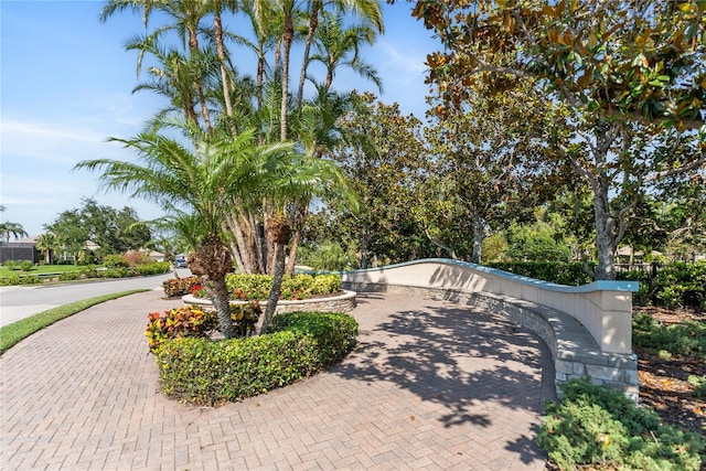 view of property's community featuring curved driveway