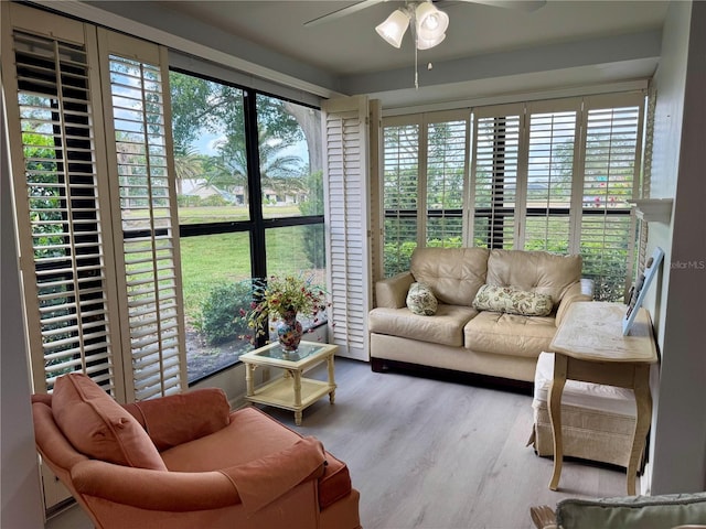 sunroom / solarium with healthy amount of natural light