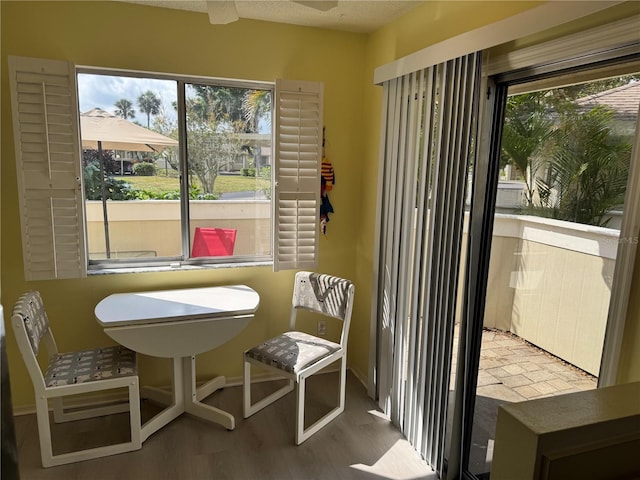 sunroom with healthy amount of natural light