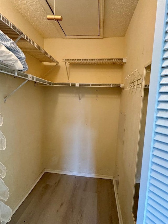 walk in closet featuring wood finished floors