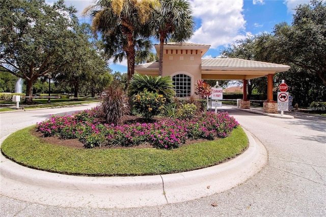 view of home's community featuring curved driveway