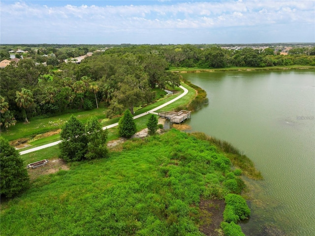bird's eye view of a large body of water and a heavily wooded area