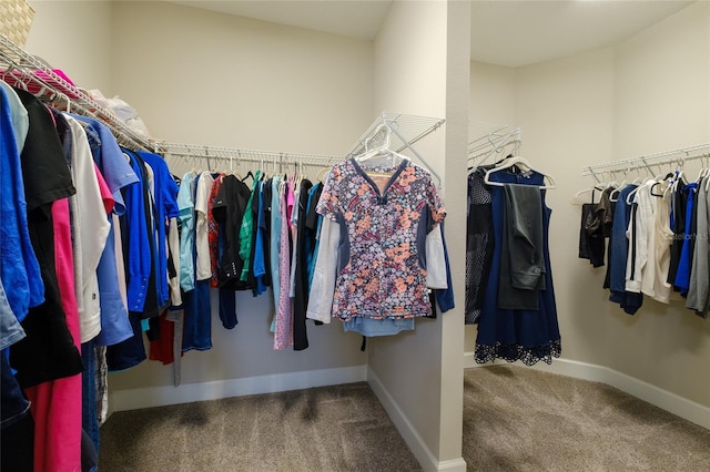 5301 Bartolomeo St, Sarasota, FL 34238 - spacious closet with carpet flooring