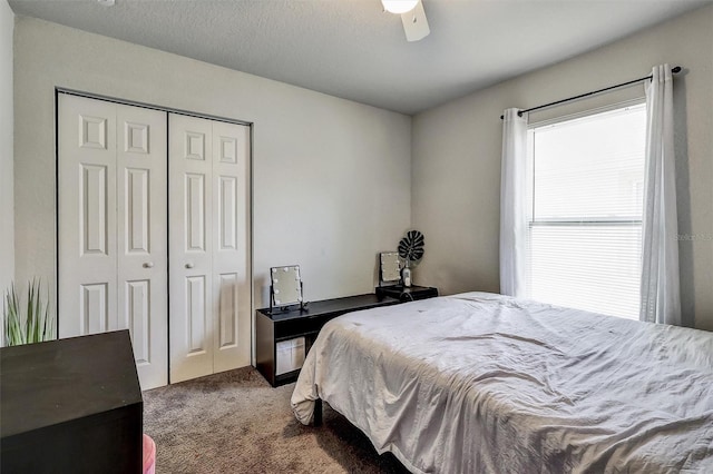 4542 19th Ave S, Saint Petersburg, FL 33711 - bedroom with carpet flooring, a closet, and a ceiling fan
