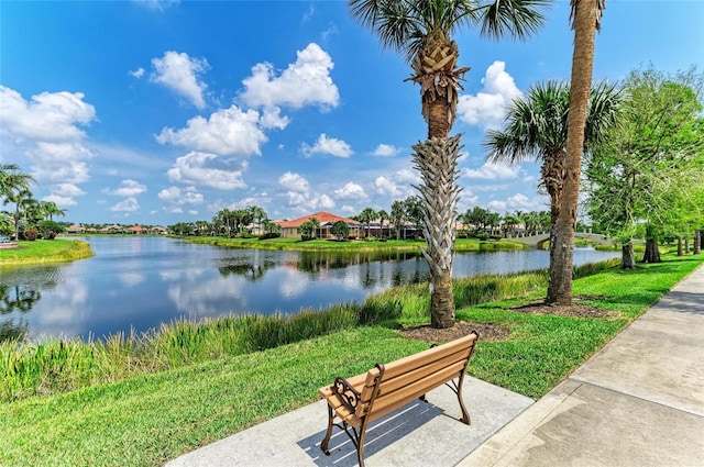 13167 Fernando St, Venice, FL 34293 - view of community with a water view