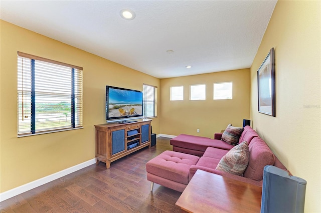 8103 Snowy Egret Pl, Bradenton, FL 34202 - living room featuring dark wood-style floors, baseboards, and recessed lighting