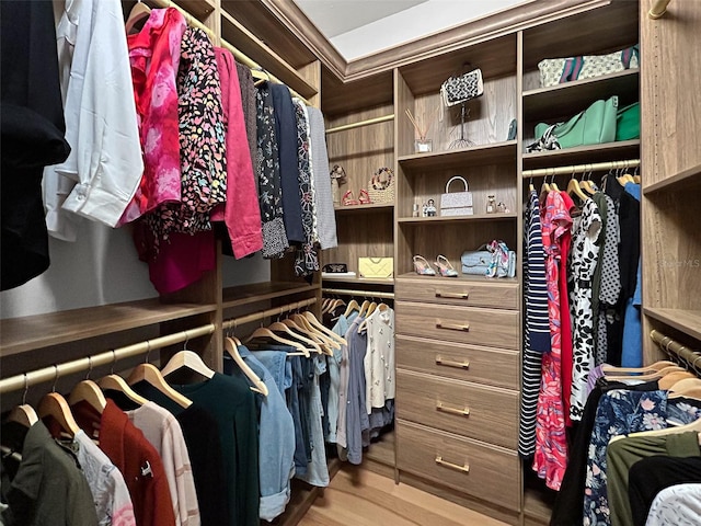 6567 Eagle Ridge Way, Lakeland, FL 33813 - walk in closet with wood finished floors