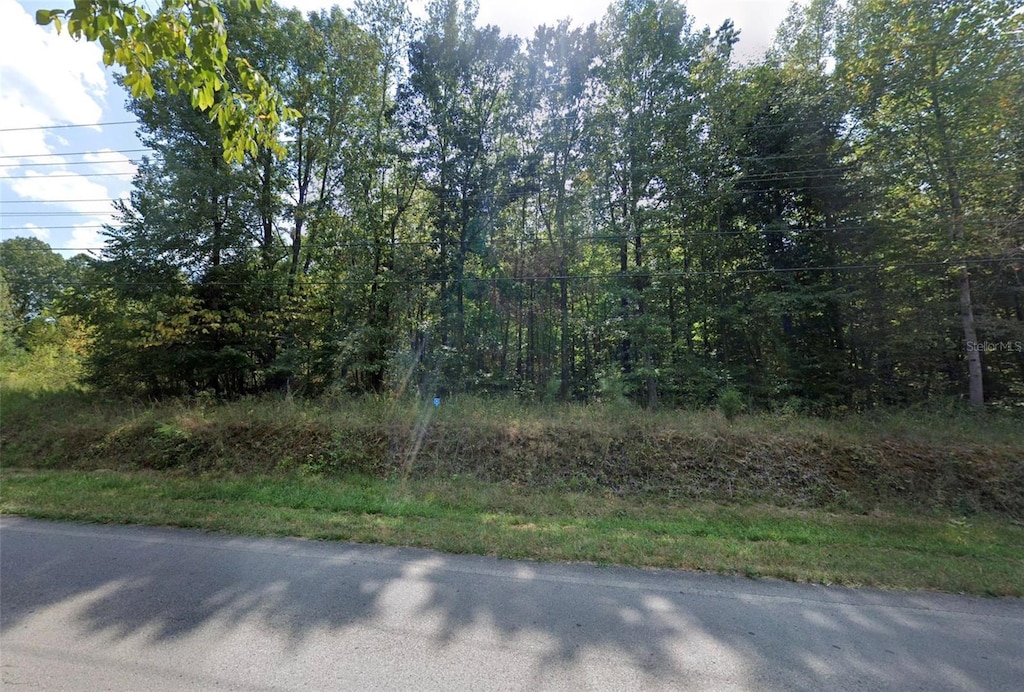 2292 River Rd, Clarksville, TN 37040 - photo 2