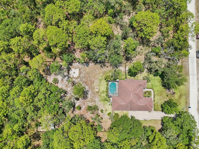 drone / aerial view