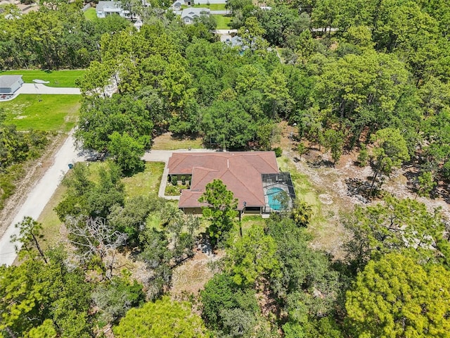 aerial view
