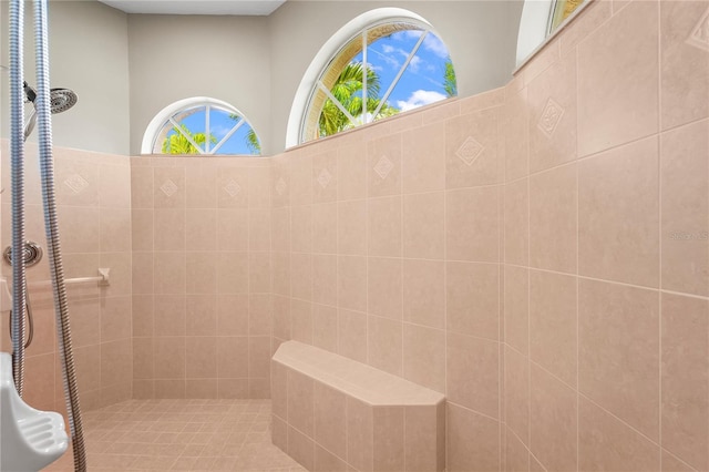 6143 9th Avenue Cir NE, Bradenton, FL 34212 - bathroom with tiled shower