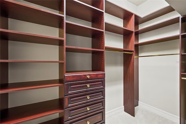 6143 9th Avenue Cir NE, Bradenton, FL 34212 - spacious closet with light carpet