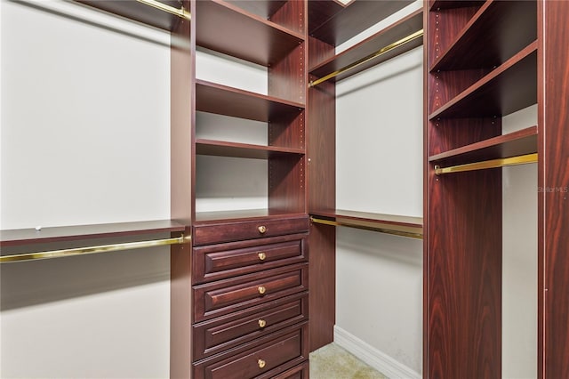 6143 9th Avenue Cir NE, Bradenton, FL 34212 - walk in closet with carpet flooring