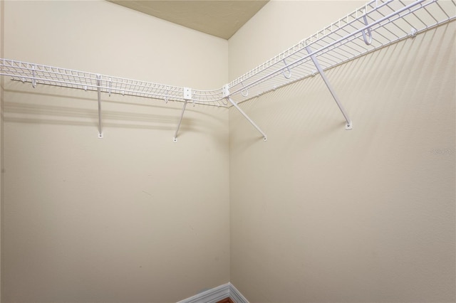 6143 9th Avenue Cir NE, Bradenton, FL 34212 - view of spacious closet