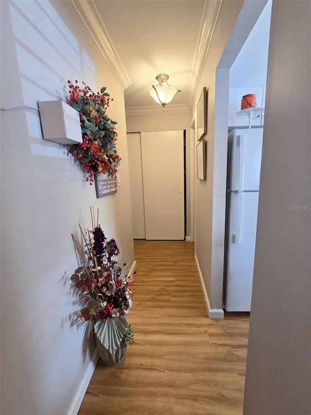 corridor with baseboards, light wood-style floors, and crown molding