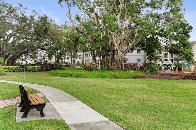 view of property's community with a yard