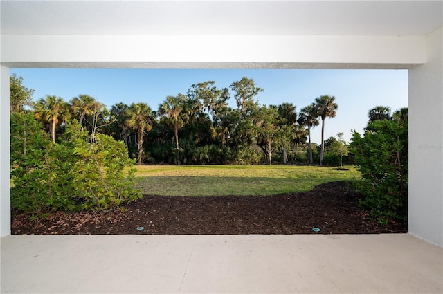 10171 Milky Way Cir, Sarasota, FL 34241 - view of yard featuring a patio area