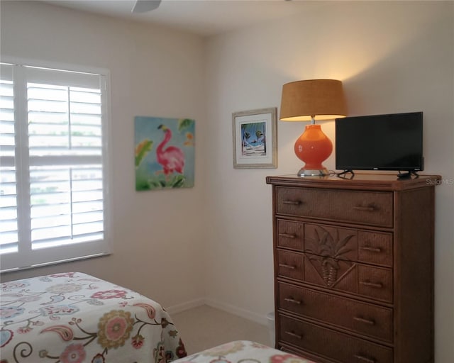 802 Montrose Dr Unit 204, Venice, FL 34293 - bedroom with baseboards