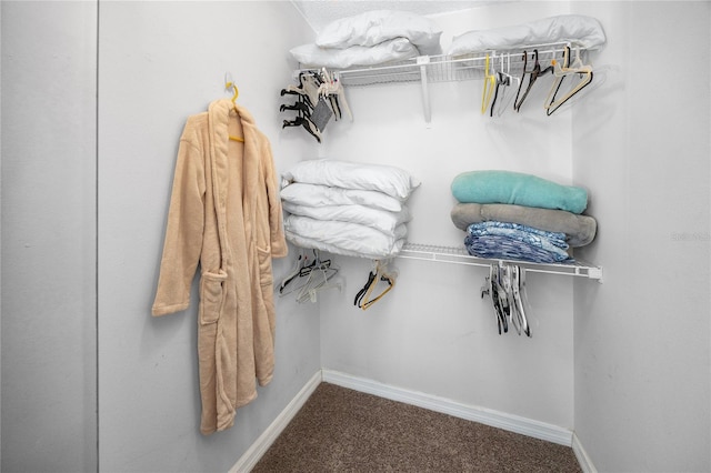 2726 Knoll St E, Palm Harbor, FL 34683 - walk in closet with carpet floors