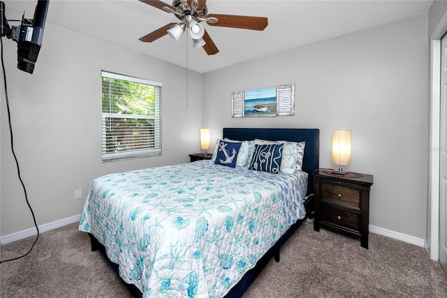 2726 Knoll St E, Palm Harbor, FL 34683 - carpeted bedroom with baseboards and a ceiling fan