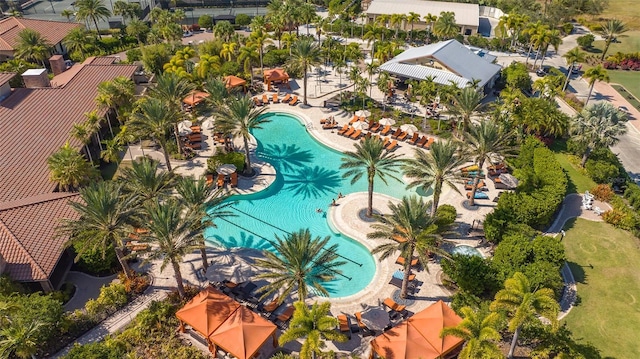 bird's eye view of a pool